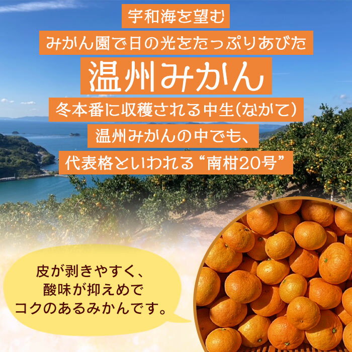 【ふるさと納税】＜でん助農園の温州みかん 南柑20号 約10kg（家庭用）＞ 果物 フルーツ ミカン オレンジ 柑橘類 うんしゅうみかん 南柑20号 中生 自宅用 国産 特産品 食べて応援 産地直送 西宇和産 愛媛県 西予市【常温】『2025年12月中旬～2026年1月下旬迄に順次出荷予定』 サムネイル2