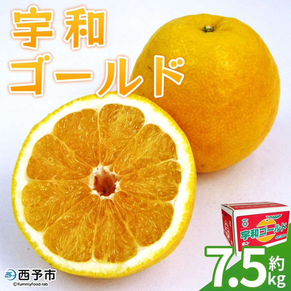 ＜宇和ゴールド 約7.5kg＞ 果物 フルーツ みかん ミカン 蜜柑 オレンジ 柑橘 河内晩柑 かわちばんかん うわごーるど ウワゴールド 愛南ゴールド 美生柑 食べて応援 特産品 JA えひめ南農業協同組合 愛媛県 西予市【常温】『2026年4月～5月迄に順次出荷予定』