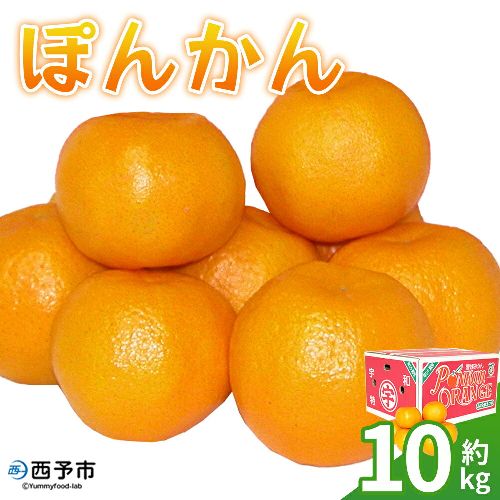 ＜ぽんかん 約10kg＞ 果物 フルーツ みかん ミカン 蜜柑 オレンジ 柑橘 椪柑 ポンカン 食べて応援 特産品 JA えひめ南農業協同組合 愛媛県 西予市【常温】『2026年1月上旬～2月下旬迄に順次出荷予定』