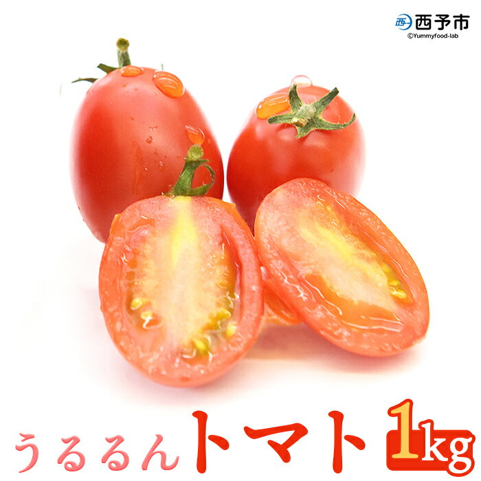 ＜「うるるんトマト」約1kg（250g×4パック×1箱） 甘くて濃厚な味わい＞ 野菜 とまと ミニトマト 特産品 食べて応援 くまさん農園 愛媛県 西予市【常温】『1か月以内に順次出荷予定』