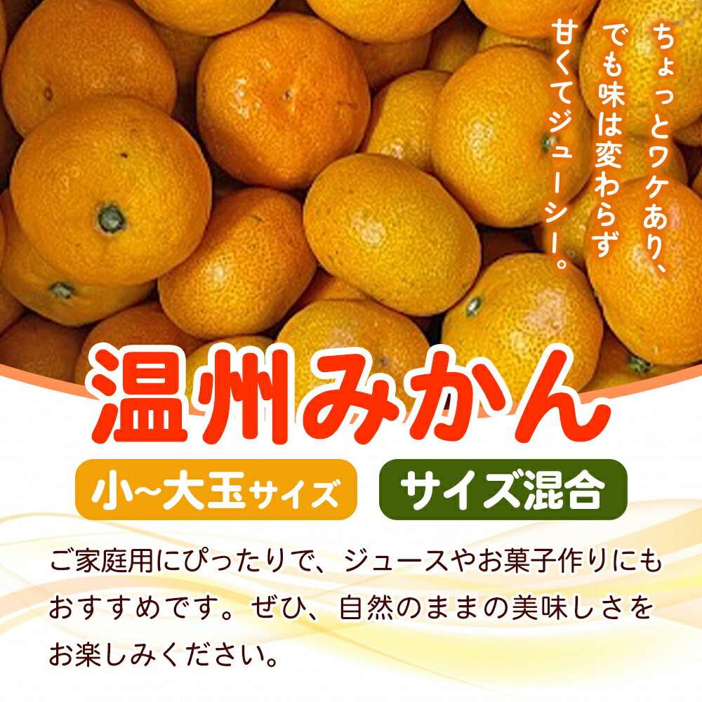 【ふるさと納税】＜fululy直送 温州みかん 訳あり 約3kg / 5kg＞ 選べる ワケアリ サイズ混合 小玉 中玉 大玉 果物 フルーツ 蜜柑 うんしゅうみかん ウンシュウミカン 柑橘 家庭用 合同会社fululy 直送 愛媛県 西予市【常温】『2025年11月上旬～12月中旬迄に順次出荷』 サムネイル2