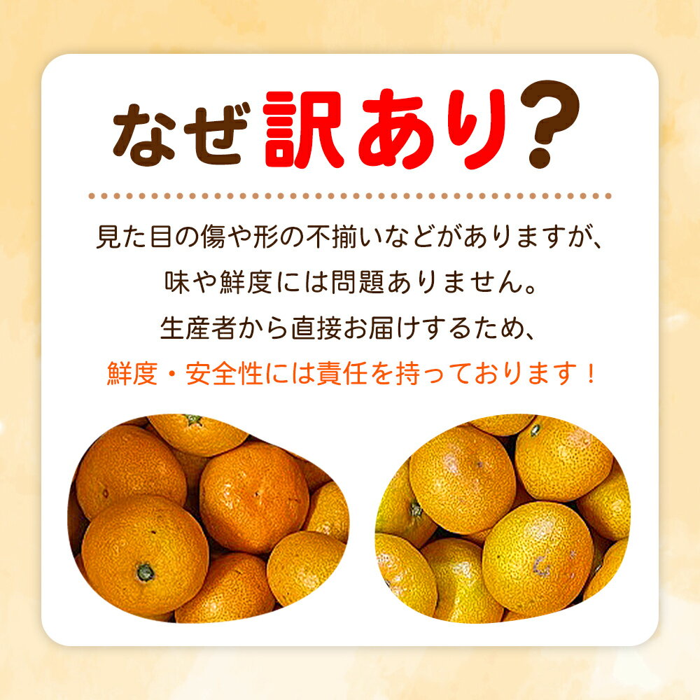【ふるさと納税】＜fululy直送 温州みかん 訳あり 約3kg / 5kg＞ 選べる ワケアリ サイズ混合 小玉 中玉 大玉 果物 フルーツ 蜜柑 うんしゅうみかん ウンシュウミカン 柑橘 家庭用 合同会社fululy 直送 愛媛県 西予市【常温】『2025年11月上旬～12月中旬迄に順次出荷』 サムネイル3