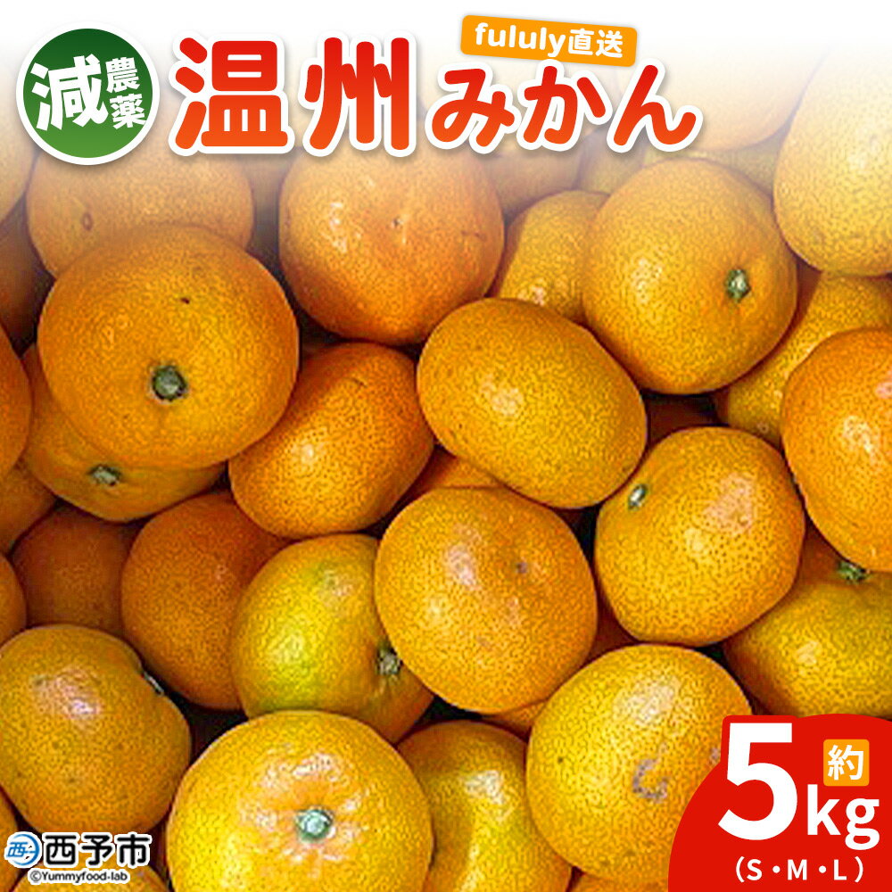 ＜fululy直送 減農薬温州みかん 約5kg＞ サイズ混合 果物 フルーツ 蜜柑 温州ミカン うんしゅうみかん ウンシュウミカン 減農薬 家庭用 柑橘 合同会社fululy 直送 愛媛県 西予市【常温】『2025年11月上旬～12月中旬迄に順次出荷』