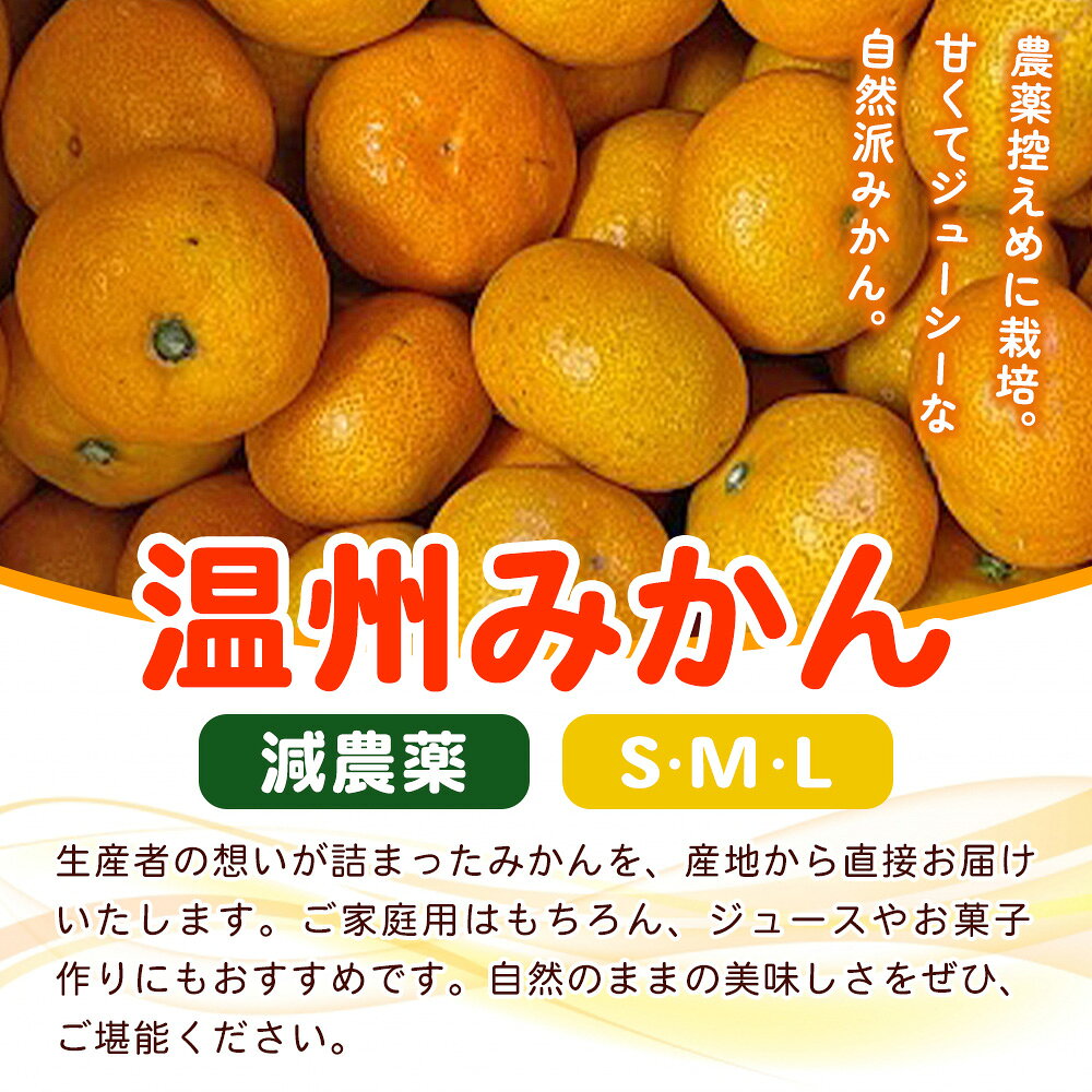 【ふるさと納税】＜fululy直送 減農薬温州みかん 約5kg＞ サイズ混合 果物 フルーツ 蜜柑 温州ミカン うんしゅうみかん ウンシュウミカン 減農薬 家庭用 柑橘 合同会社fululy 直送 愛媛県 西予市【常温】『2025年11月上旬～12月中旬迄に順次出荷』 サムネイル2