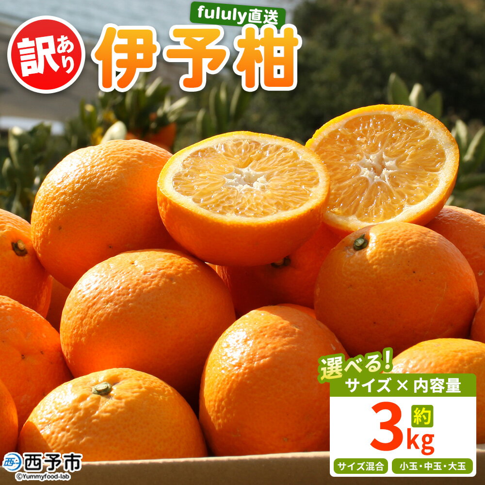＜fululy直送 伊予柑 訳あり 約3kg＞ 選べる ワケアリ サイズ混合 小玉 中玉 大玉 果物 フルーツ 蜜柑 いよかん イヨカン 柑橘 家庭用 合同会社fululy 直送 愛媛県 西予市【常温】『2026年1月中旬～2月上旬迄に順次出荷』