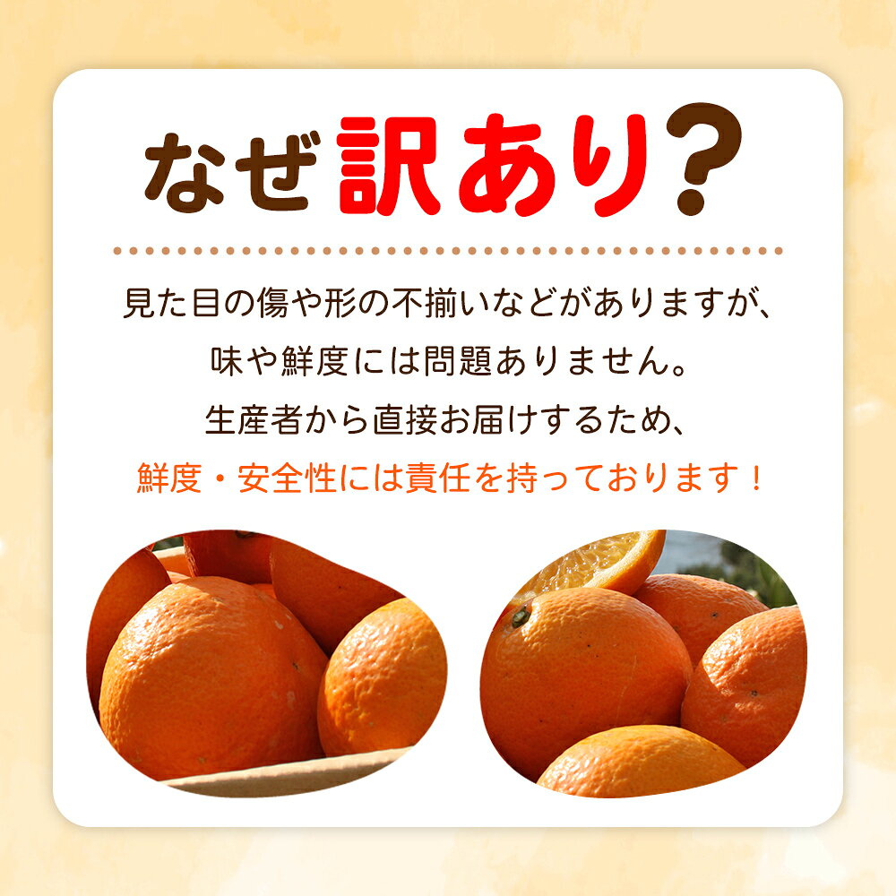 【ふるさと納税】＜fululy直送 伊予柑 訳あり 約3kg＞ 選べる ワケアリ サイズ混合 小玉 中玉 大玉 果物 フルーツ 蜜柑 いよかん イヨカン 柑橘 家庭用 合同会社fululy 直送 愛媛県 西予市【常温】『2026年1月中旬～2月上旬迄に順次出荷』 サムネイル3