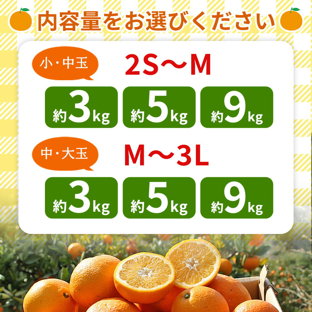 【ふるさと納税】＜訳あり 温州みかん 約3kg / 5kg / 9kg＞ 選べる 小玉 中玉 大玉 明浜産 果物 フルーツ 蜜柑 うんしゅうみかん ウンシュウミカン 柑橘 家庭用 浜のみかん屋 直送 愛媛県 西予市【常温】『2025年11月上旬～12月中旬迄に順次出荷』 サムネイル3