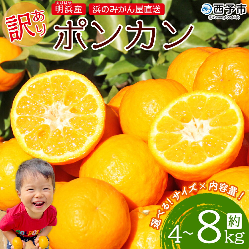 ＜訳あり ポンカン 約4kg / 8kg＞ 選べるサイズ 大きい 大玉 小さい 小玉 中玉 食べやすい ぽんかん 家庭用 果物 フルーツ おいしい 甘い 柑橘類 明浜産 あけはま ご自宅用 浜のみかん屋 愛媛県 西予市【常温】『2026年1月下旬～2月中旬迄に順次出荷』