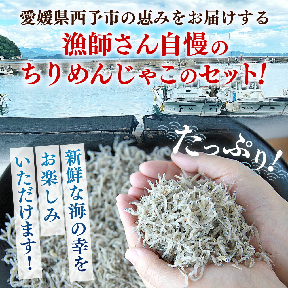 【ふるさと納税】＜漁師さん自慢のちりめんじゃこ 合計350g/700g（1パック70g入り）＞ しらす シラス おじゃこ 魚 さかな 小魚 魚介類 乾燥 海の幸 海鮮 小分け 個包装 おすそ分け 国産 産地直送 送料無料 特産品 濱田水産 愛媛県 西予市【冷蔵】『最短10営業日以内に発送』 サムネイル3