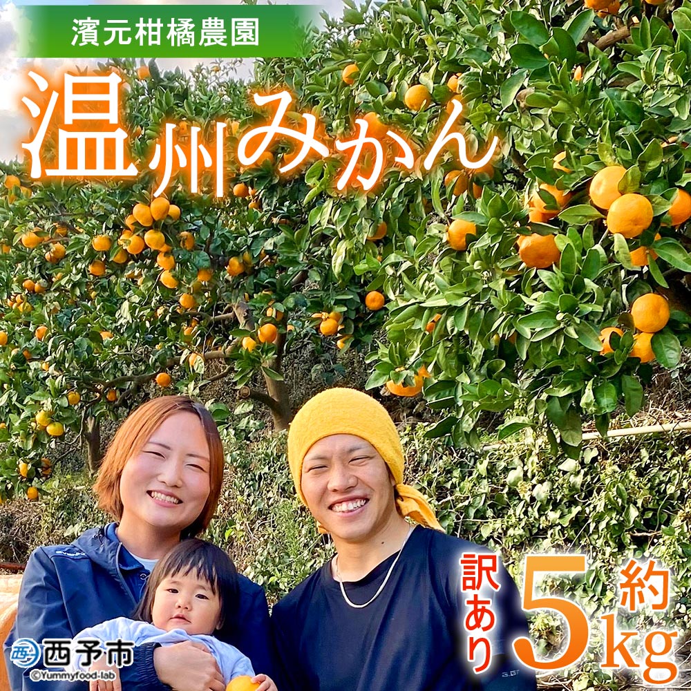 ＜明浜産 温州みかん 約5kg 訳あり＞ 愛媛みかん 農家直送 愛媛県産 家庭用 自宅用 ワケアリ 果物 フルーツ 柑橘 うんしゅうみかん ウンシュウミカン オレンジ 蜜柑 S～L 濱元柑橘農園 西予市【常温】『2025年11月下旬から12月中旬までに順次出荷予定』