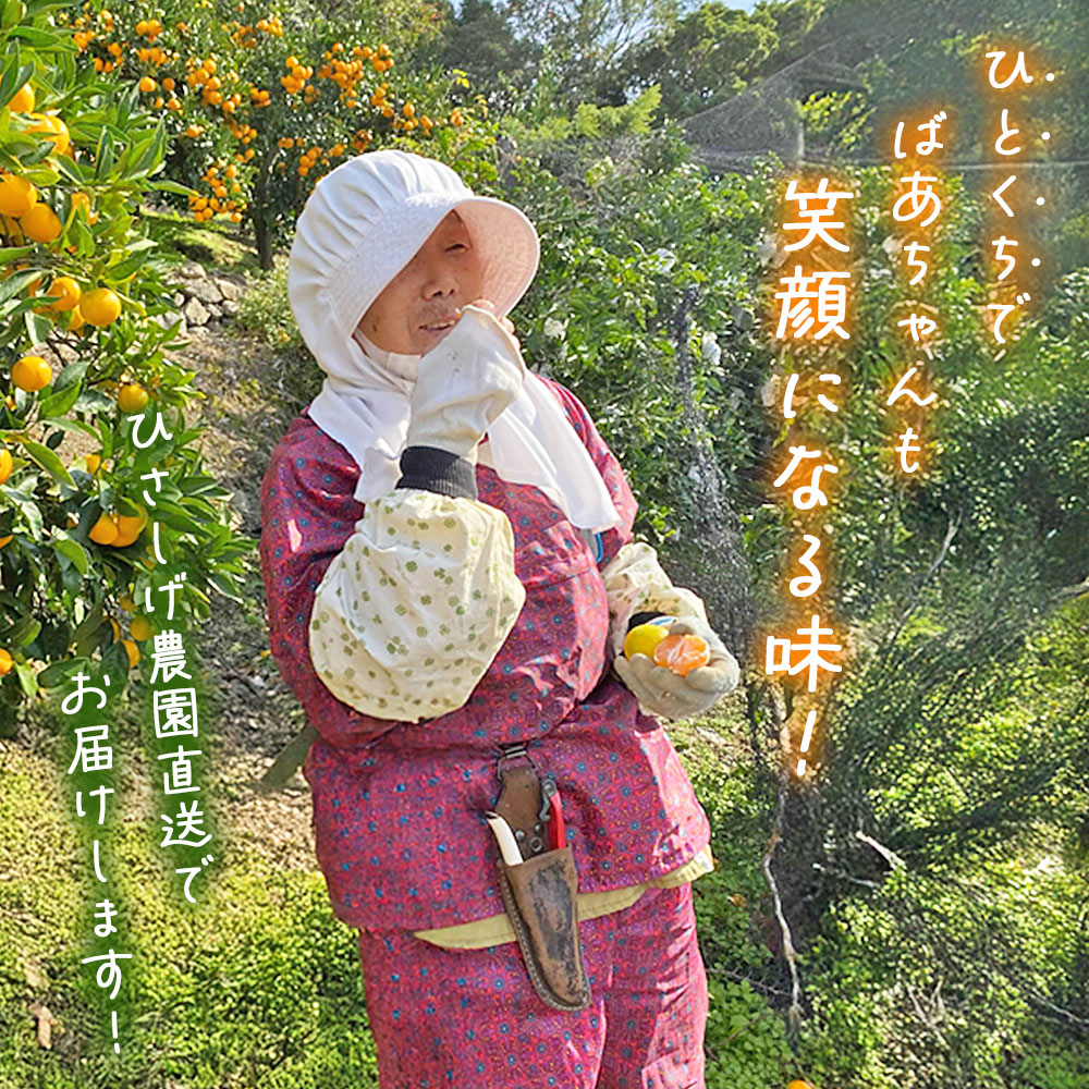 【ふるさと納税】期間限定＜ひさしげ農園直送 西宇和産 温州みかん 約5kg＞ 早生 温州みかん 温州ミカン 果物 くだもの みかん ミカン 柑橘 フルーツ 柑橘 果実 国産 5キロ 愛媛県産 特産品 ひさしげ農園 愛媛県 西予市【常温】『2025年11月下旬～12月中旬迄に順次出荷予定』 サムネイル3