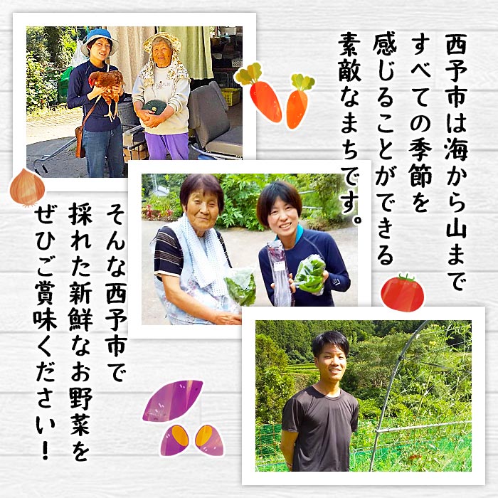 【ふるさと納税】＜せいよのうまいもんセット＞ 西予市産 愛媛県産 国産 旬 季節の野菜 やさい 詰め合わせ 5～7品目 お楽しみ 特産品 百姓百品株式会社 愛媛県 西予市 【冷蔵】『1か月以内に順次出荷予定』 - 画像3