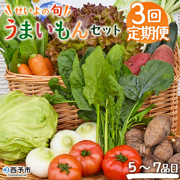 ＜せいよのうまいもんセット 3回定期便＞ 西予市産 愛媛県産 国産 旬 季節の野菜 やさい おまかせ 詰め合わせ 5～7品目 お楽しみ 特産品 百姓百品株式会社 愛媛県 西予市 【冷蔵】『1か月以内に第1回目を順次出荷予定』