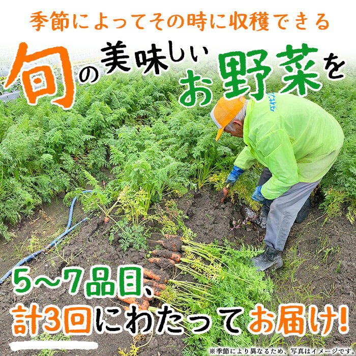 【ふるさと納税】＜せいよのうまいもんセット 3回定期便＞ 西予市産 愛媛県産 国産 旬 季節の野菜 やさい おまかせ 詰め合わせ 5～7品目 お楽しみ 特産品 百姓百品株式会社 愛媛県 西予市 【冷蔵】『1か月以内に第1回目を順次出荷予定』 - 画像2