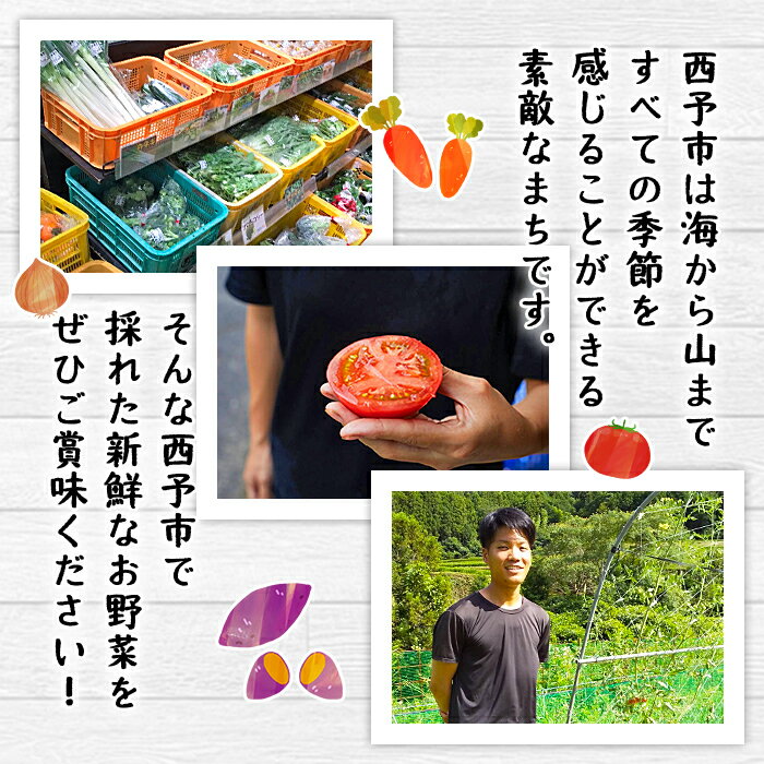 【ふるさと納税】＜せいよのうまいもんセット 3回定期便＞ 西予市産 愛媛県産 国産 旬 季節の野菜 やさい おまかせ 詰め合わせ 5～7品目 お楽しみ 特産品 百姓百品株式会社 愛媛県 西予市 【冷蔵】『1か月以内に第1回目を順次出荷予定』 - 画像3