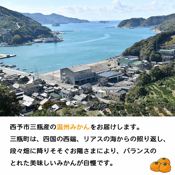 【ふるさと納税】＜JAにしうわ 温州みかん 約10kg＞ 果物 フルーツ くだもの 温州ミカン 蜜柑 柑橘類 食べて応援 特産品 甘い 旬 西宇和農業協同組合 愛媛県 西予市 【常温】『2025年11月中旬～12月中旬迄に順次出荷予定』 サムネイル2
