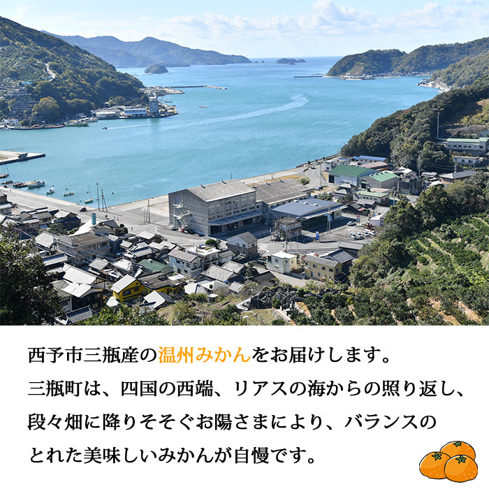 【ふるさと納税】＜JAにしうわ 温州みかん（みなの）約5kg＞ 果物 くだもの うんしゅう ミカン 蜜柑 柑橘類 フルーツ 特産品 西宇和農業協同組合 愛媛県 西予市 【常温】『2025年11月中旬～12月中旬迄に順次出荷予定』 サムネイル2