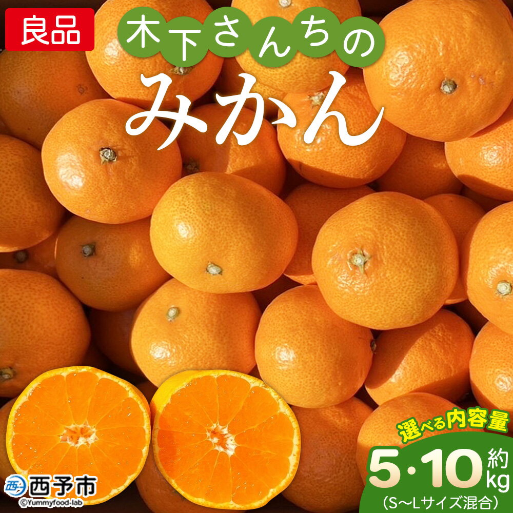 ＜木下さんちのみかん 良品 約5kg／10kg（S～Lサイズ混合）＞ 柑橘類 温州みかん うんしゅうみかん みかん ミカン 蜜柑 果物 くだもの フルーツ 選べる内容量 特産品 木下農園 西宇和 愛媛県 西予市【常温】『2025年11月中旬から12月下旬に順次出荷予定』