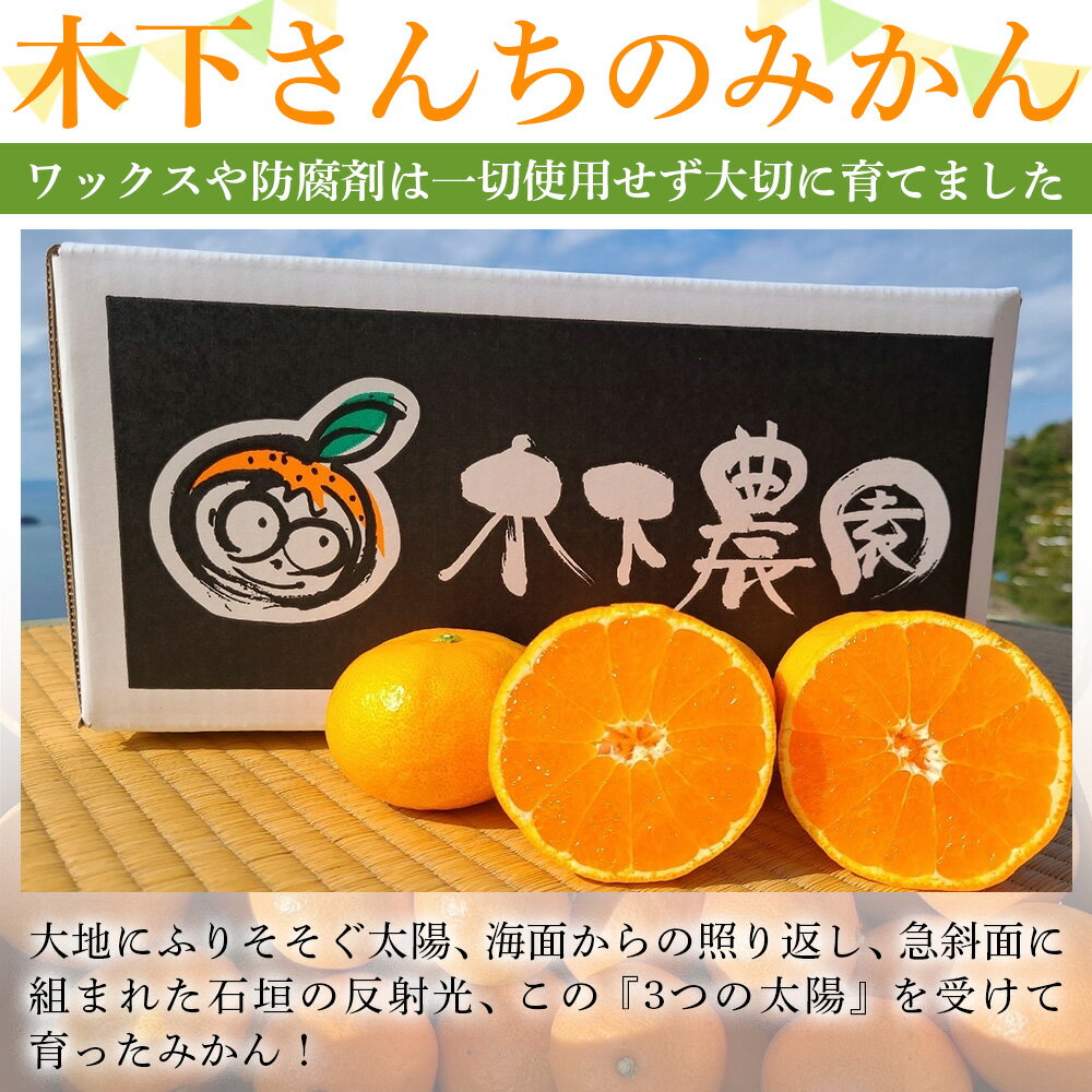 【ふるさと納税】＜木下さんちのみかん 良品 約5kg／10kg（S～Lサイズ混合）＞ 柑橘類 温州みかん うんしゅうみかん みかん ミカン 蜜柑 果物 くだもの フルーツ 選べる内容量 特産品 木下農園 西宇和 愛媛県 西予市【常温】『2025年11月中旬から12月下旬に順次出荷予定』 サムネイル2