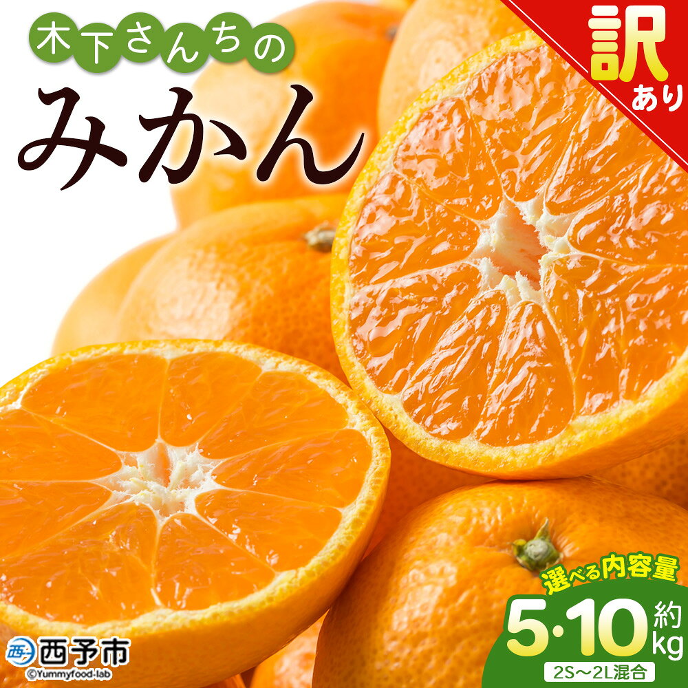 ＜木下さんちのみかん 訳あり 約5kg／10kg（2S～2Lサイズ混合）＞ 選べる わけあり 家庭用 柑橘 温州みかん うんしゅうみかん ミカン 蜜柑 果物 くだもの フルーツ 国産 特産品 木下農園 愛媛県 西予市【常温】『2025年11月中旬～12月下旬迄に順次出荷予定』