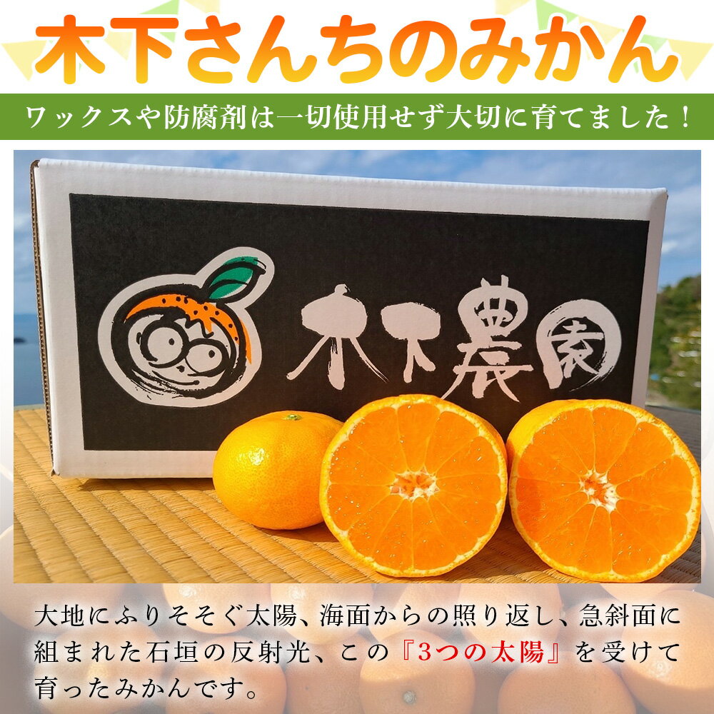 【ふるさと納税】＜木下さんちのみかん 訳あり 約5kg／10kg（2S～2Lサイズ混合）＞ 選べる わけあり 家庭用 柑橘 温州みかん うんしゅうみかん ミカン 蜜柑 果物 くだもの フルーツ 国産 特産品 木下農園 愛媛県 西予市【常温】『2025年11月中旬～12月下旬迄に順次出荷予定』 サムネイル2