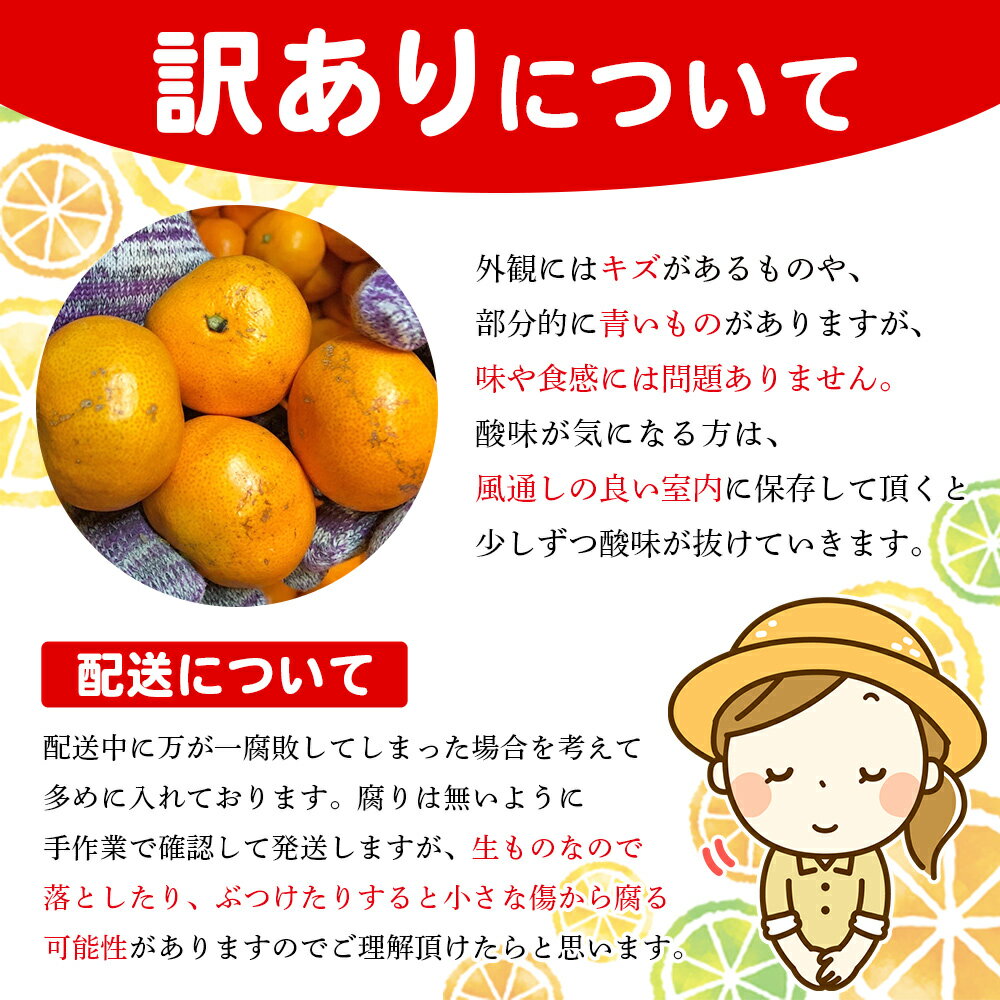 【ふるさと納税】＜木下さんちのみかん 訳あり 約5kg／10kg（2S～2Lサイズ混合）＞ 選べる わけあり 家庭用 柑橘 温州みかん うんしゅうみかん ミカン 蜜柑 果物 くだもの フルーツ 国産 特産品 木下農園 愛媛県 西予市【常温】『2025年11月中旬～12月下旬迄に順次出荷予定』 サムネイル3