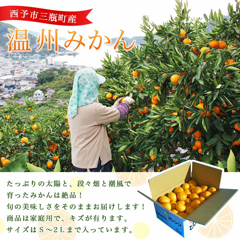 【ふるさと納税】先行予約 ＜とびっきりの愛媛 温州みかん 約2kg／4kg（家庭用大小混合）＞ 訳あり 家庭用 果物 柑橘 フルーツ 蜜柑 うんしゅうみかん ウンシュウミカン 特産品 片山果樹園 食べて応援 西宇和 愛媛県 西予市【常温】『2025年11月下旬～12月迄に順次出荷予定』 サムネイル2