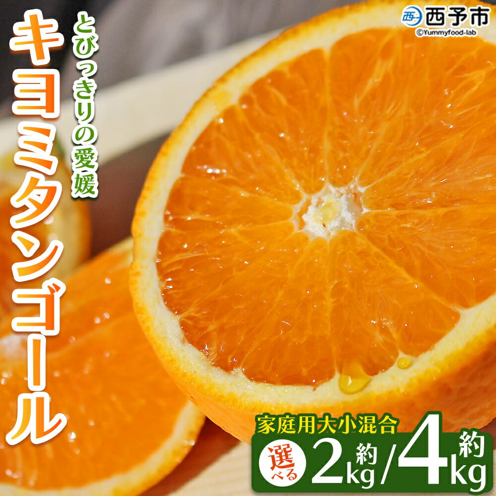 先行予約 ＜とびっきりの愛媛 キヨミタンゴール 約2kg／4kg（家庭用大小混合）＞ 訳あり 家庭用 果物 柑橘 フルーツ みかん 蜜柑 オレンジ 清見タンゴール 特産品 片山果樹園 食べて応援 西宇和 愛媛県 西予市【常温】『2026年3月中旬から順次出荷予定』