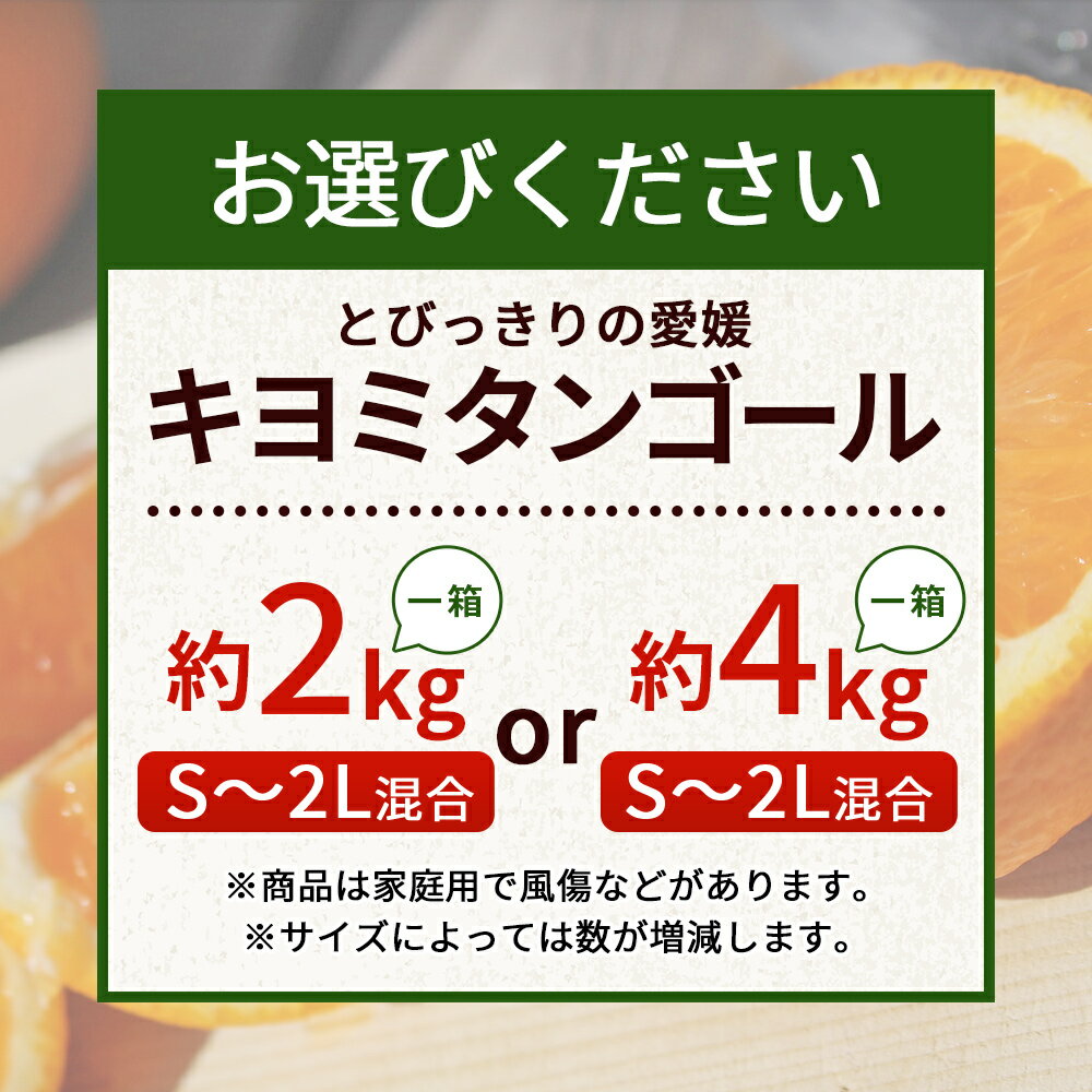 【ふるさと納税】先行予約 ＜とびっきりの愛媛 キヨミタンゴール 約2kg／4kg（家庭用大小混合）＞ 訳あり 家庭用 果物 柑橘 フルーツ みかん 蜜柑 オレンジ 清見タンゴール 特産品 片山果樹園 食べて応援 西宇和 愛媛県 西予市【常温】『2026年3月中旬から順次出荷予定』 サムネイル3
