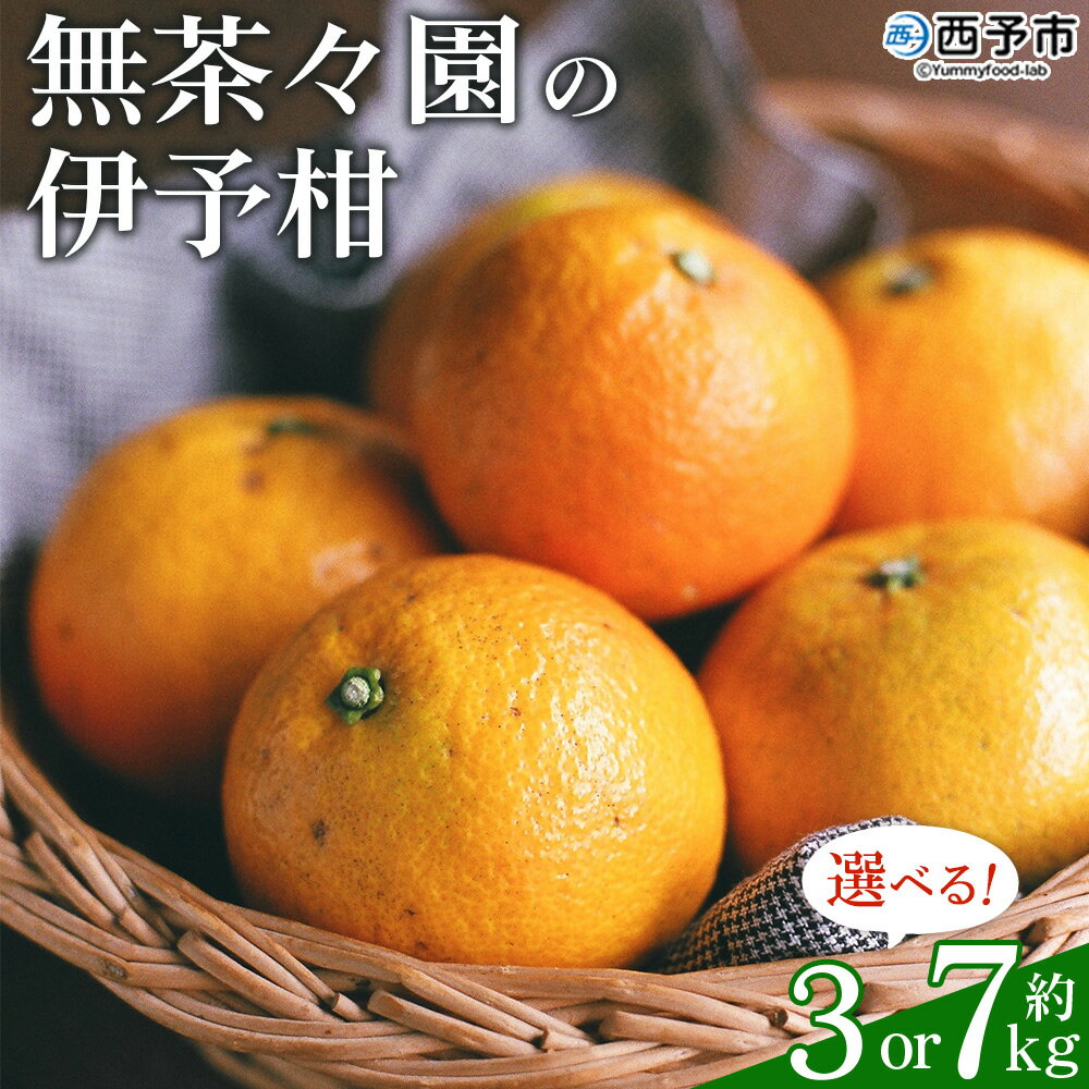 先行予約 ＜無茶々園の伊予柑 約3kg／7kg＞ 果物 いよかん イヨカン みかん ミカン 蜜柑 柑橘 フルーツ 選べる内容量 期間限定 季節限定 特産品 愛媛県 西予市【常温】『2026年1月～2月に順次出荷予定』