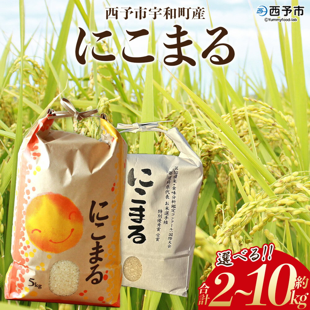 ＜令和7年産 西予市宇和町産 にこまる 約2kg/5kg/10kg＞ お米 コメ 白米 精米 単一原料米 ご飯 晩稲 大粒 精米 ご飯 ライス 穀物 ニコマル 特産品 愛媛県産 西予市産 宇和町産 三好フク 愛媛県 西予市【常温】『1か月以内に順次出荷予定』
