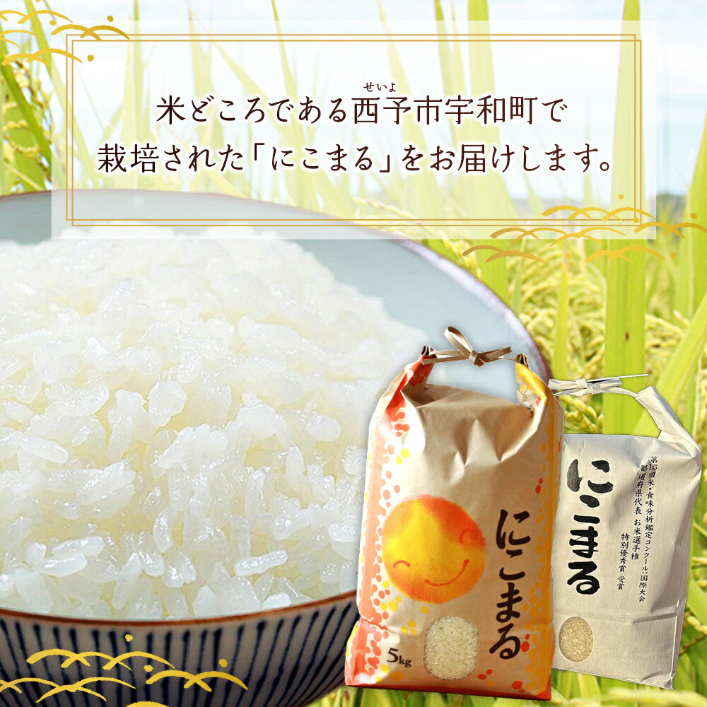 【ふるさと納税】＜令和7年産 西予市宇和町産 にこまる 約2kg/5kg/10kg＞ お米 コメ 白米 精米 単一原料米 ご飯 晩稲 大粒 精米 ご飯 ライス 穀物 ニコマル 特産品 愛媛県産 西予市産 宇和町産 三好フク 愛媛県 西予市【常温】『1か月以内に順次出荷予定』 - 画像2