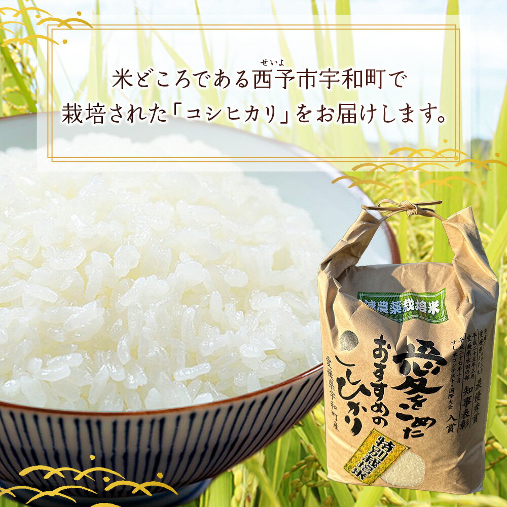 【ふるさと納税】＜令和7年産 西予市宇和町産 特別栽培米コシヒカリ 約2/5/10kg＞ お米 コメ こめ 白米 精米 単一原料米 ご飯 白飯 ごはん ライス 穀物 こしひかり コシヒカリ 特産品 愛媛県産 西予市産 宇和町産 三好フク【常温】『1か月以内に順次出荷予定』 - 画像2