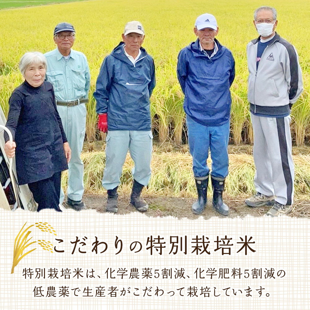 【ふるさと納税】＜令和7年産 西予市宇和町産 特別栽培米コシヒカリ 約2/5/10kg＞ お米 コメ こめ 白米 精米 単一原料米 ご飯 白飯 ごはん ライス 穀物 こしひかり コシヒカリ 特産品 愛媛県産 西予市産 宇和町産 三好フク【常温】『1か月以内に順次出荷予定』 - 画像3