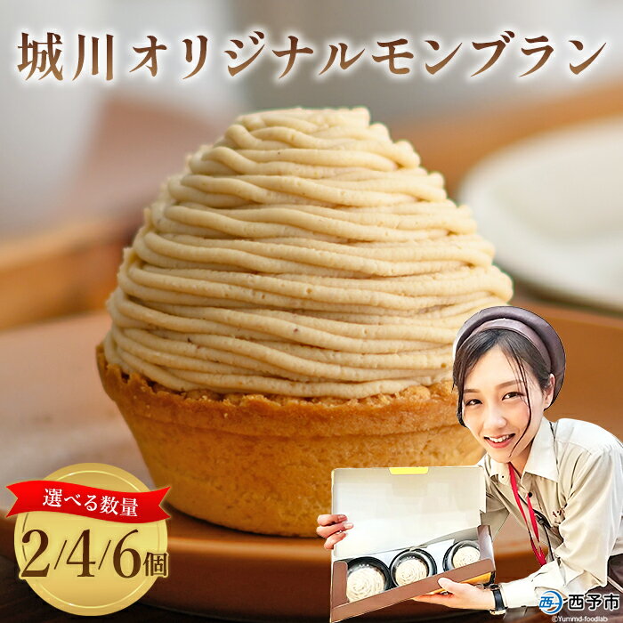 栗 スイーツ ＜城川オリジナル モンブラン 2/4/6個入り＞ マロン くり クリ 国産 和栗 ペースト クリーム 渋皮煮 スポンジケーキ 生クリーム チーズ バター タルト メニークエスト 愛媛県 西予市【冷凍】『3か月以内に順次出荷予定』ふるさと納税モンブラン