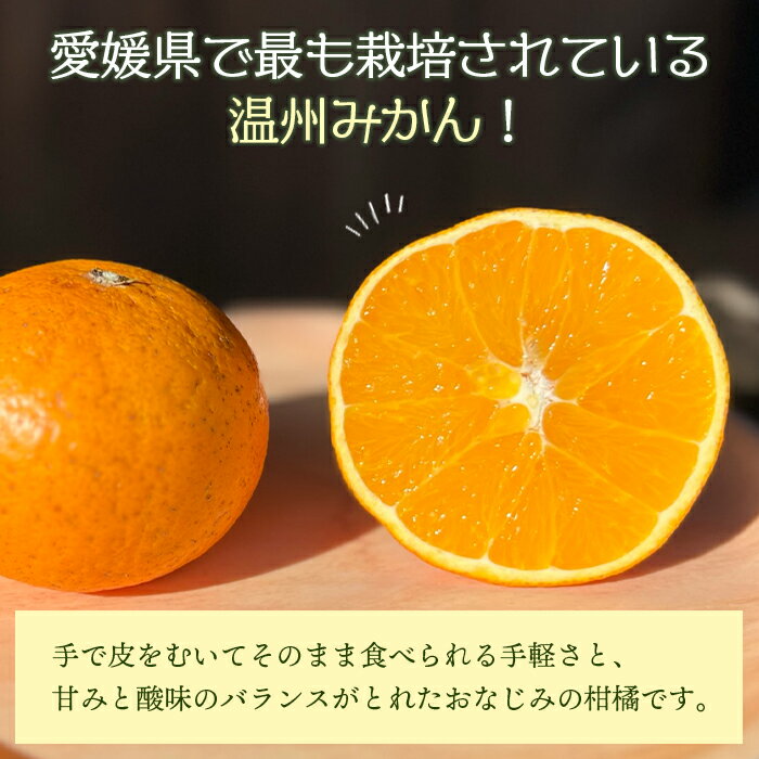 【ふるさと納税】＜旬をお届け！温州みかん 約5kg＞ 数量限定 ミカン 蜜柑 果物 柑橘類 果実 オレンジ フルーツ 早生 20号 手軽 特産品 国産 明浜産 二ノ宮商事株式会社 愛媛県 西予市【常温】『2025年11月上旬～12月中旬迄に順次出荷予定』 サムネイル2