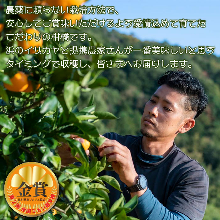 【ふるさと納税】＜旬をお届け！温州みかん 約5kg＞ 数量限定 ミカン 蜜柑 果物 柑橘類 果実 オレンジ フルーツ 早生 20号 手軽 特産品 国産 明浜産 二ノ宮商事株式会社 愛媛県 西予市【常温】『2025年11月上旬～12月中旬迄に順次出荷予定』 サムネイル3