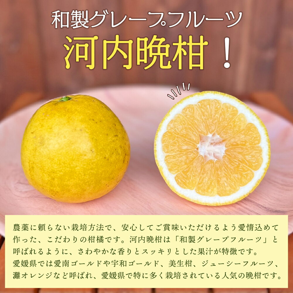 【ふるさと納税】＜【発送月が選べる】旬をお届け！河内晩柑 約7kg＞ みかん ミカン 蜜柑 果物 柑橘類 果実 オレンジ フルーツ かわちばんかん カワチバンカン 15～20個前後 特産品 明浜産 二ノ宮商事 愛媛県 西予市【常温】『2026年4月～6月から出荷月をお選びください』 サムネイル2