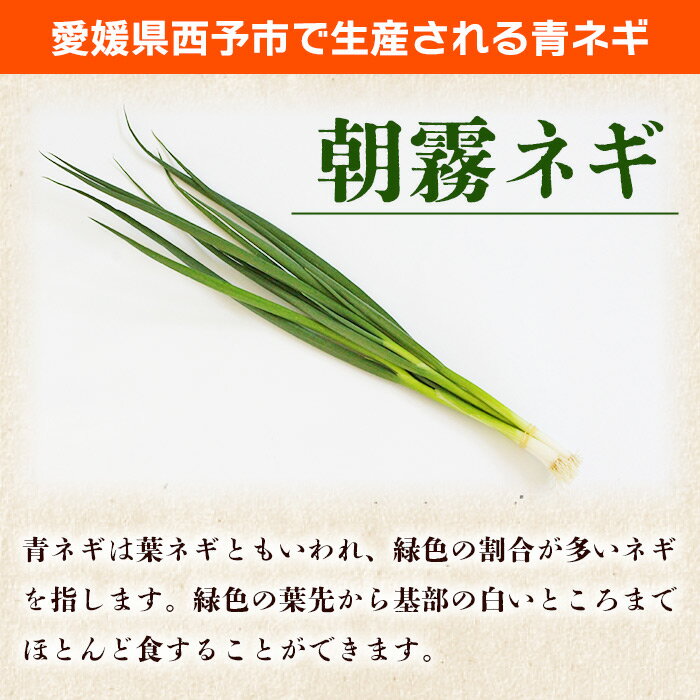【ふるさと納税】＜愛媛県西予市産 朝霧ネギ 約2kg（80g入り×25袋）＞ 根無し 西予市産 愛媛県産 国産 野菜 やさい 青葱 青ネギ 青ねぎ 葉ネギ 葱 ねぎ 特産品 株式会社ノムランド 愛媛県 西予市【冷蔵】『1か月以内に順次出荷予定』 - 画像2