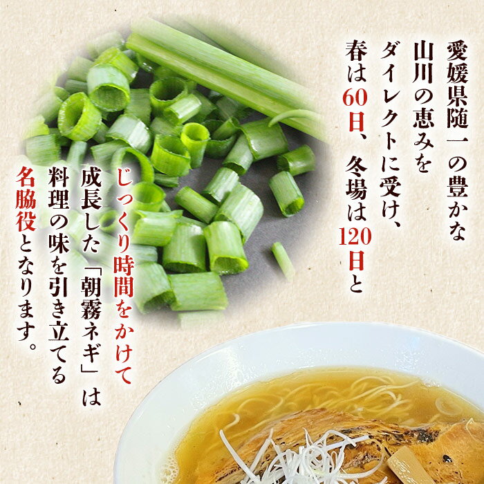 【ふるさと納税】＜愛媛県西予市産 朝霧ネギ 約2kg（80g入り×25袋）＞ 根無し 西予市産 愛媛県産 国産 野菜 やさい 青葱 青ネギ 青ねぎ 葉ネギ 葱 ねぎ 特産品 株式会社ノムランド 愛媛県 西予市【冷蔵】『1か月以内に順次出荷予定』 - 画像3