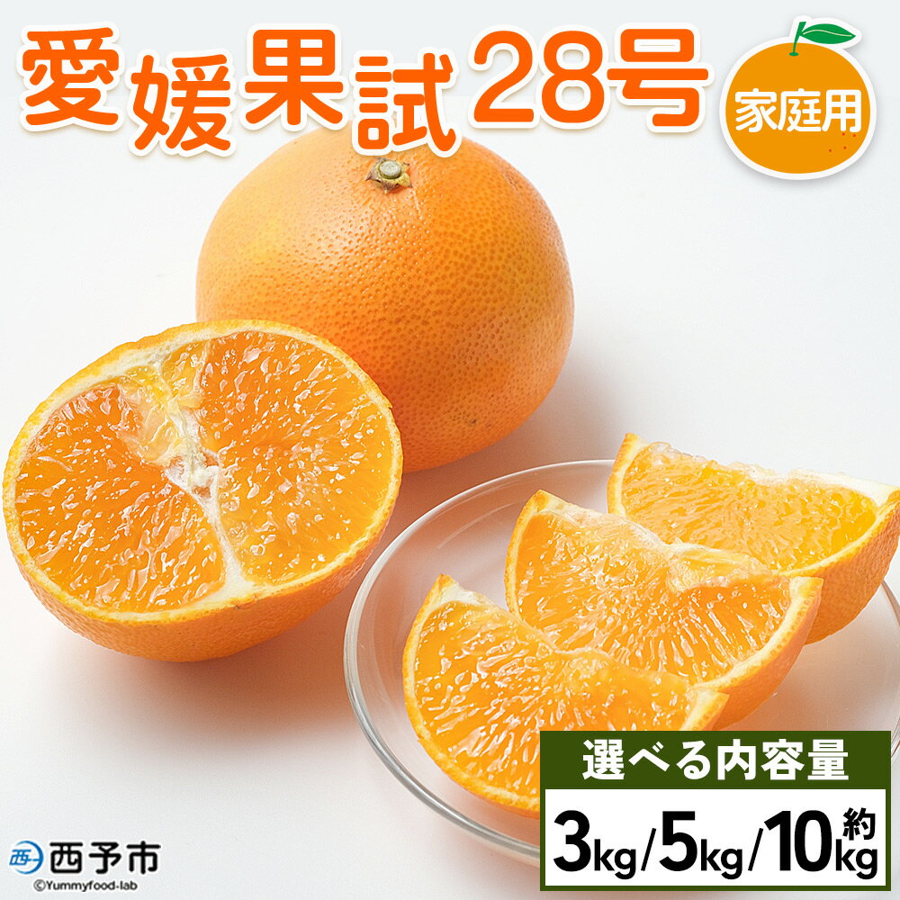 紅まどんなと同品種！＜愛媛果試28号 家庭用 約3kg／5kg／10kg＞ 訳あり わけあり 自宅用 果物 フルーツ みかん ミカン 蜜柑 オレンジ えひめかし 選べる 食べて応援 特産品 柑橘園柴田 愛媛県 西予市【常温】『2025年12月上旬～12月下旬迄に順次出荷予定』