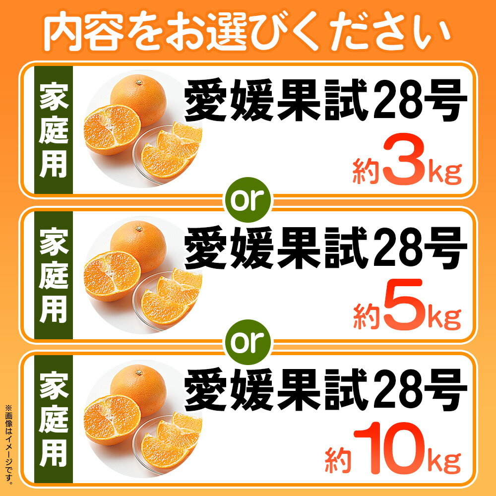 【ふるさと納税】紅まどんなと同品種！＜愛媛果試28号 家庭用 約3kg／5kg／10kg＞ 訳あり わけあり 自宅用 果物 フルーツ みかん ミカン 蜜柑 オレンジ えひめかし 選べる 食べて応援 特産品 柑橘園柴田 愛媛県 西予市【常温】『2025年12月上旬～12月下旬迄に順次出荷予定』 サムネイル3