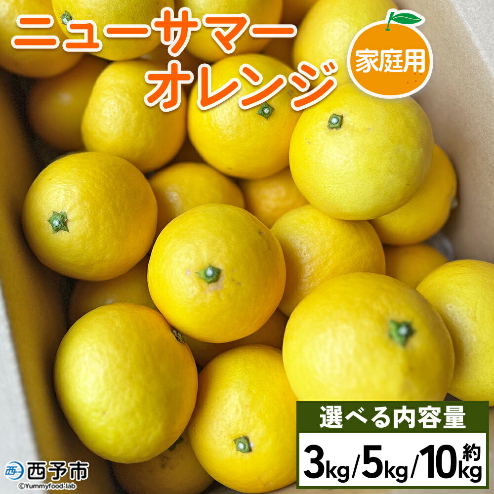 ＜ニューサマーオレンジ 家庭用 約3kg／5kg／10kg＞ 訳あり わけあり 自宅用 果物 フルーツ みかん ミカン 蜜柑 オレンジ 柑橘 にゅーさまーおれんじ 選べる 食べて応援 特産品 柑橘園柴田 愛媛県 西予市【常温】『2026年4月中旬～5月中旬迄に順次出荷予定』