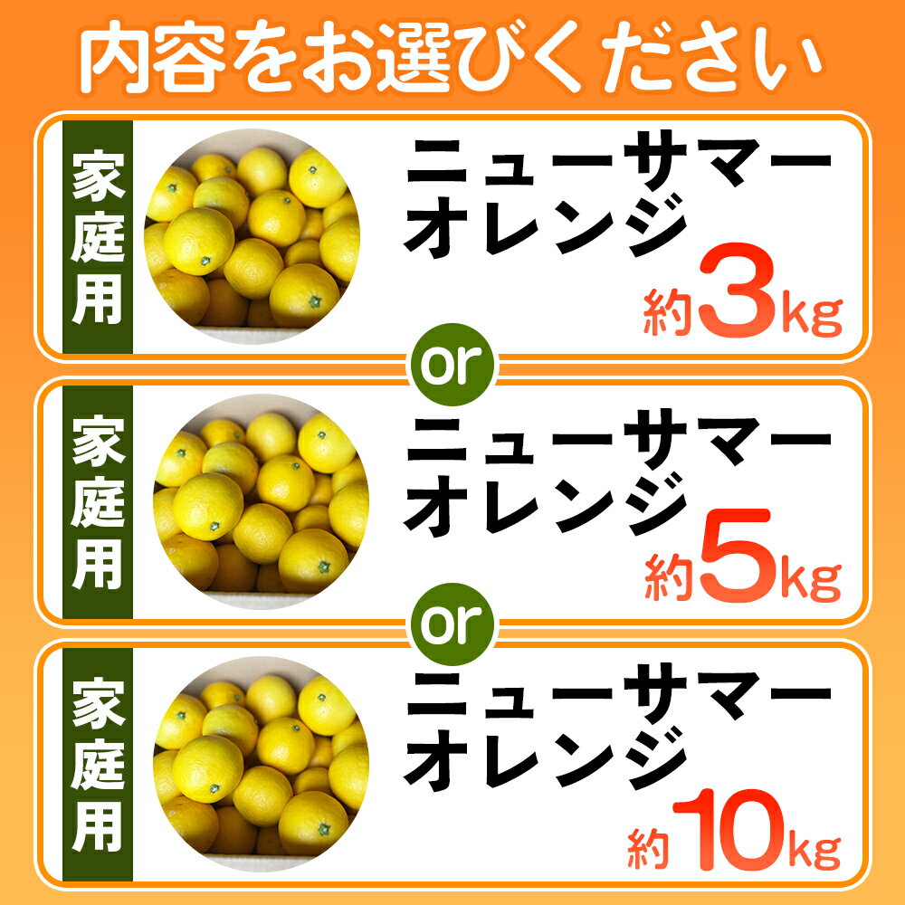 【ふるさと納税】＜ニューサマーオレンジ 家庭用 約3kg／5kg／10kg＞ 訳あり わけあり 自宅用 果物 フルーツ みかん ミカン 蜜柑 オレンジ 柑橘 にゅーさまーおれんじ 選べる 食べて応援 特産品 柑橘園柴田 愛媛県 西予市【常温】『2026年4月中旬～5月中旬迄に順次出荷予定』 サムネイル3