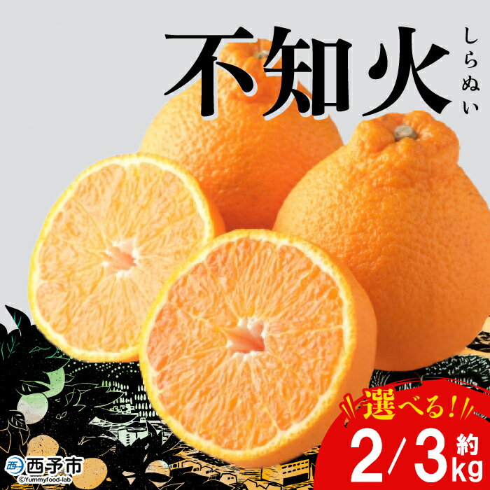 ＜おはこやがつくる おはこデコ（不知火）約2/3kg（L～3Lサイズ）＞ 果物 くだもの フルーツ 柑橘 蜜柑 ミカン しらぬい シラヌイ みかん 特産品 西宇和 おはこや 愛媛県 西予市 【常温】『2026年2月上旬から2月下旬迄に順次出荷予定』