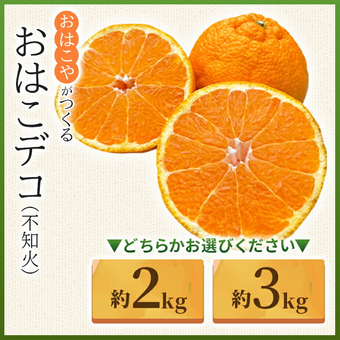 【ふるさと納税】＜おはこやがつくる おはこデコ（不知火）約2/3kg（L～3Lサイズ）＞ 果物 くだもの フルーツ 柑橘 蜜柑 ミカン しらぬい シラヌイ みかん 特産品 西宇和 おはこや 愛媛県 西予市 【常温】『2026年2月上旬から2月下旬迄に順次出荷予定』 サムネイル3