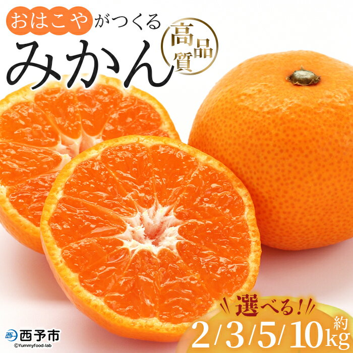 ＜おはこやがつくる 高品質みかん 約2kg/3kg/5kg/10kg（S～Lサイズ）＞ 果物 くだもの フルーツ 柑橘 みかん ミカン 蜜柑 まろやか 絶妙 特産品 西宇和 おはこや 愛媛県 西予市 【常温】『2025年11月中旬から12月中旬迄に順次出荷予定』