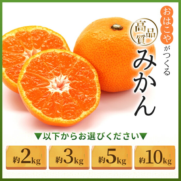 【ふるさと納税】＜おはこやがつくる 高品質みかん 約2kg/3kg/5kg/10kg（S～Lサイズ）＞ 果物 くだもの フルーツ 柑橘 みかん ミカン 蜜柑 まろやか 絶妙 特産品 西宇和 おはこや 愛媛県 西予市 【常温】『2025年11月中旬から12月中旬迄に順次出荷予定』 サムネイル3