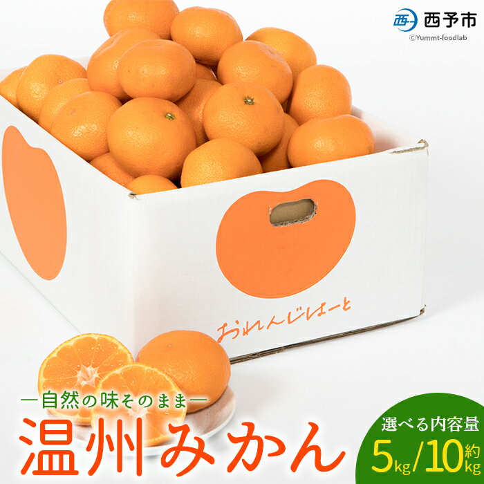 先行予約 ＜温州みかん 約5kg/10kg＞ 選べる 柑橘 みかん ミカン 蜜柑 果物 くだもの フルーツ オレンジ うんしゅうみかん 国産 愛媛県産 特産品 おれんじはーと 食べて応援 西宇和 愛媛県 西予市 【常温】『2025年11月中旬～12月中旬迄に順次出荷予定』