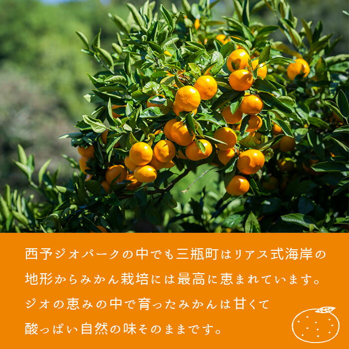 【ふるさと納税】先行予約 ＜温州みかん 約5kg/10kg＞ 選べる 柑橘 みかん ミカン 蜜柑 果物 くだもの フルーツ オレンジ うんしゅうみかん 国産 愛媛県産 特産品 おれんじはーと 食べて応援 西宇和 愛媛県 西予市 【常温】『2025年11月中旬～12月中旬迄に順次出荷予定』 サムネイル2